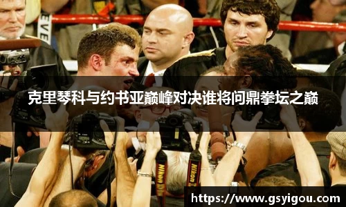 克里琴科与约书亚巅峰对决谁将问鼎拳坛之巅